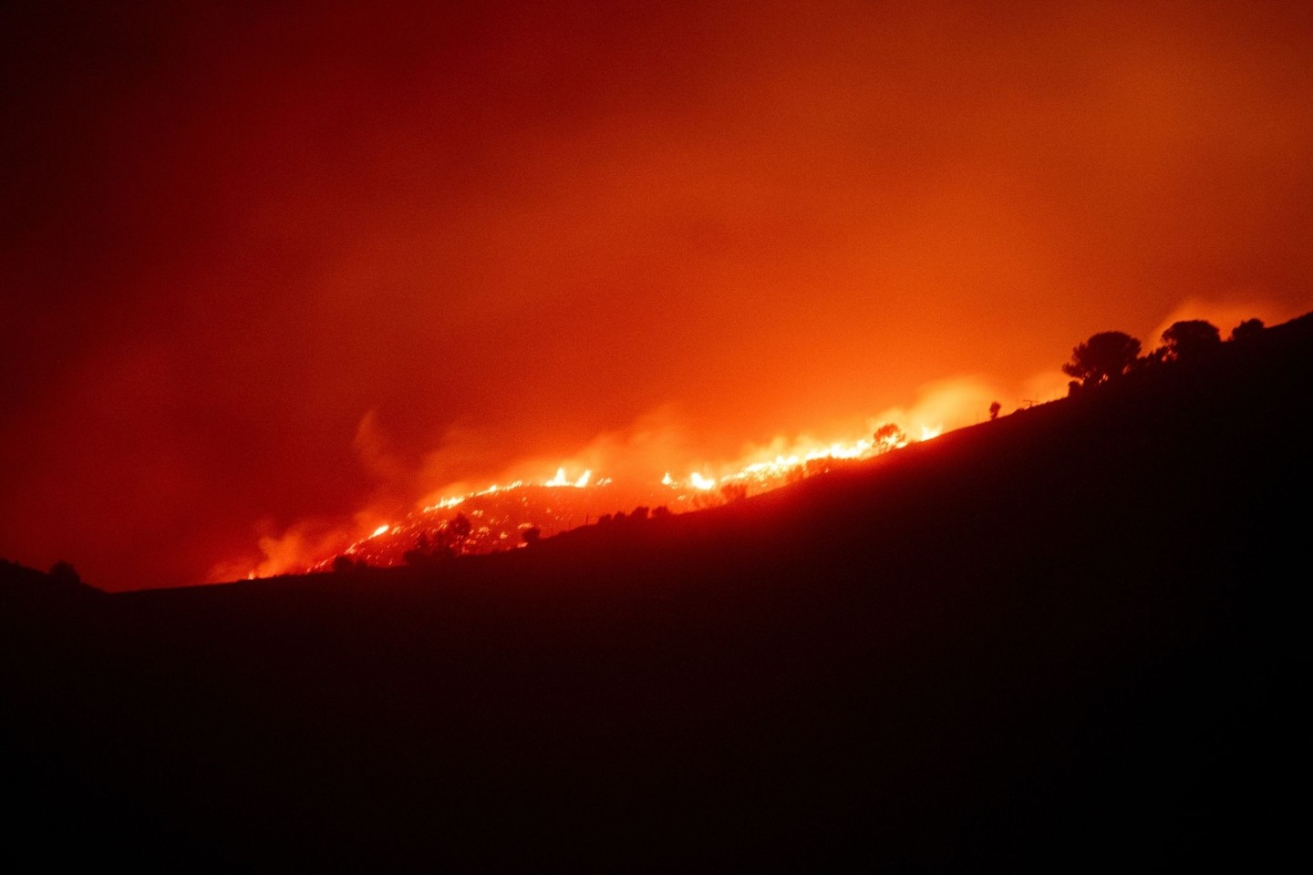 Der Waldbrand in der Nähe von Portbou in Katalonien konnte weitgehend unter Kontrolle gebracht werden.
