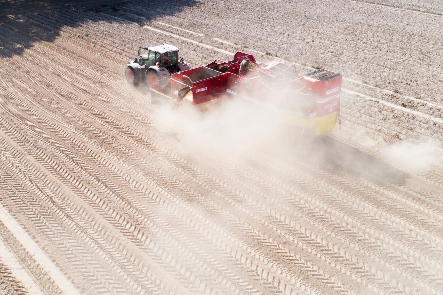 Ein Landwirt erntet im Herbst 2020 Kartoffeln auf einem staubtrockenen Feld in der Region Hannover.