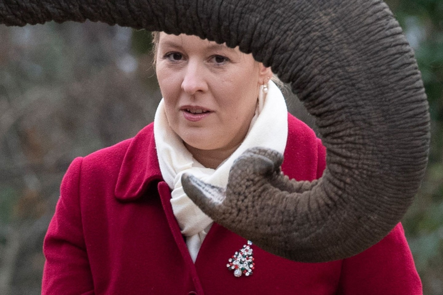Berlins Regierende Bürgermeisterin Franziska Giffey (SPD) füttert im Zoo einen Elefanten.