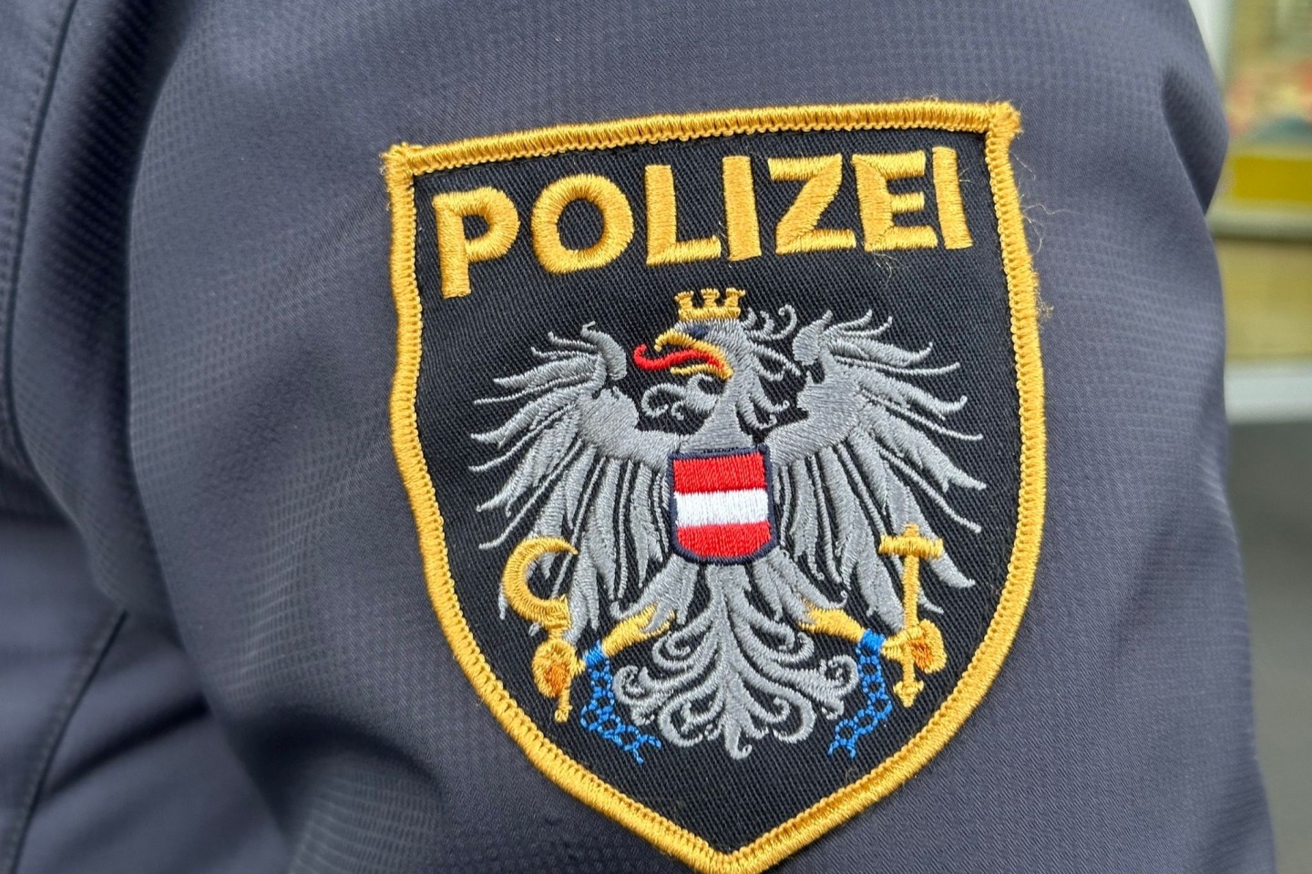 Auch die österreichische Polizei suchte nach Danka.