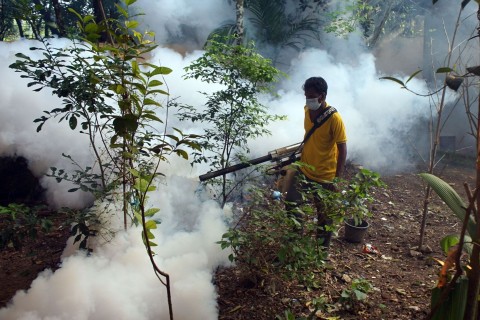 Mehr als Tausend Tote wegen Dengue-Fieber in Bangladesch