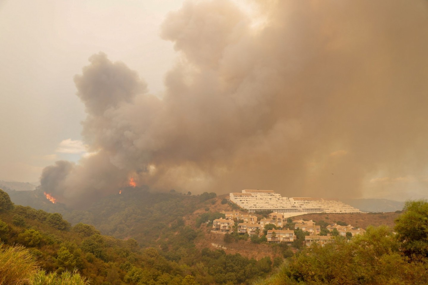 Bäume brennen in der Nähe von Estepona.