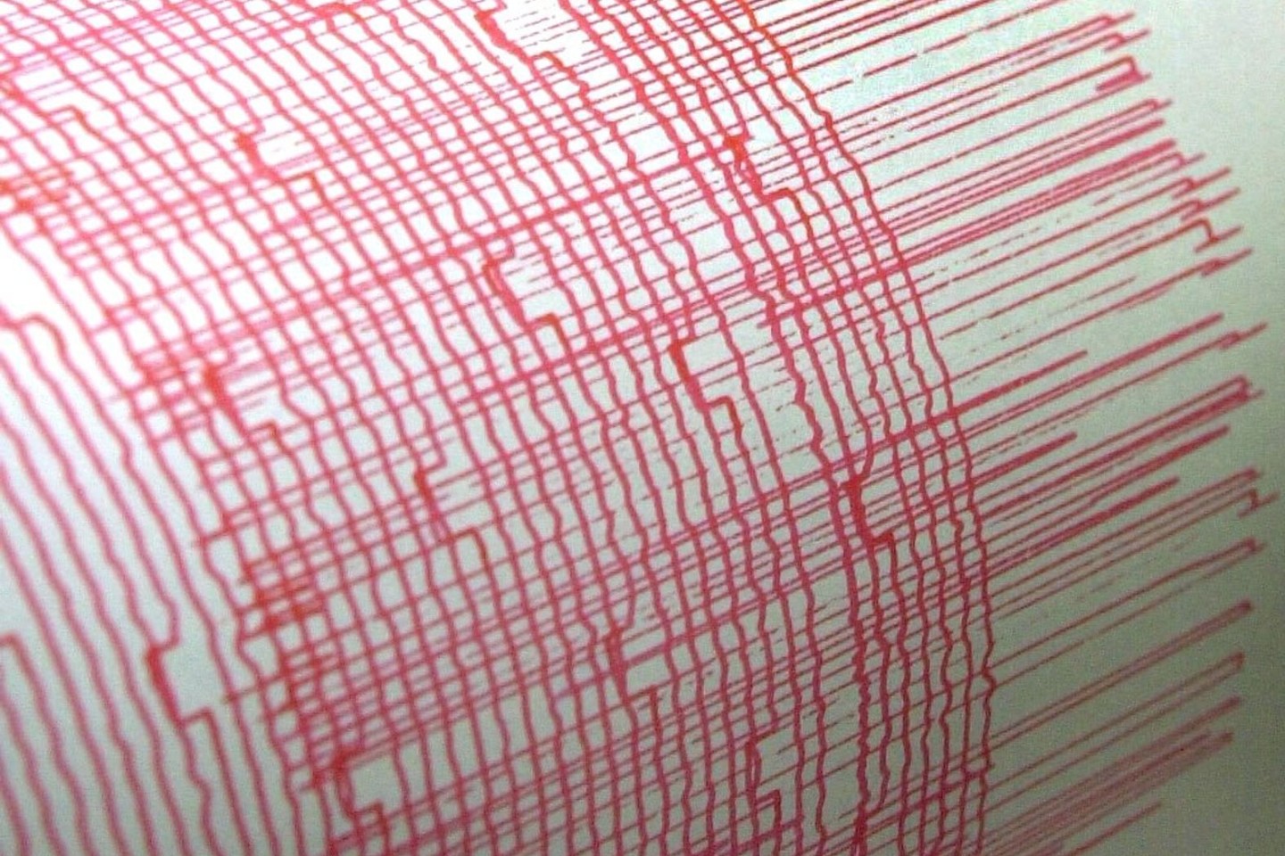 Ein Monitorschreiber zeichnet die Erschütterungen eines Erdbebens auf. (Symbolbild)