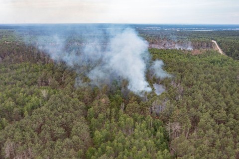 Waldbrand bei Jüterbog: «Wir lassen es kontrolliert brennen»