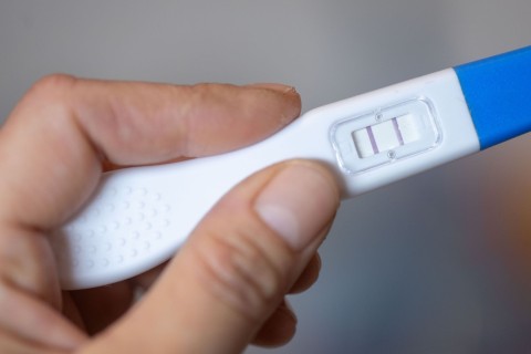 Zahl der Schwangerschaftsabbrüche gestiegen